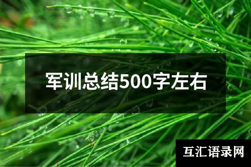 军训总结500字左右