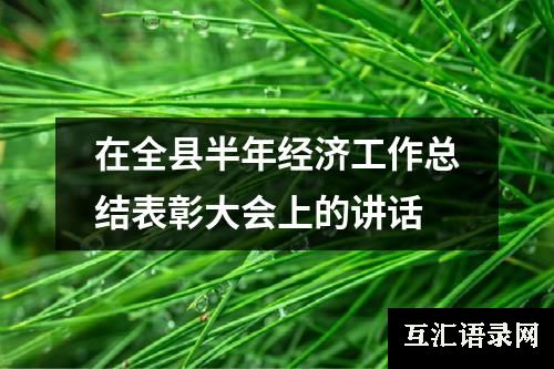 在全县半年经济工作总结表彰大会上的讲话