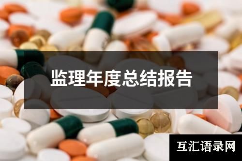 监理年度总结报告