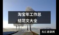 关于淘宝年工作总结范文大全（共18篇）