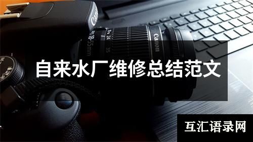 自来水厂维修总结范文