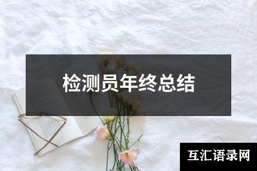 检测员年终总结