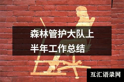森林管护大队上半年工作总结