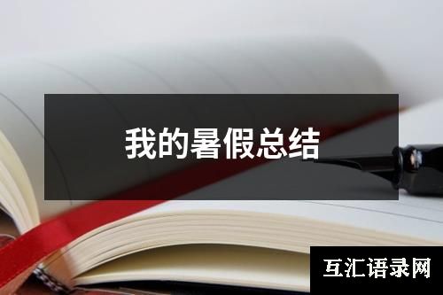 我的暑假总结