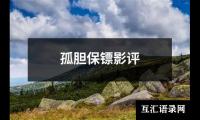 关于孤胆保镖影评（共4篇）