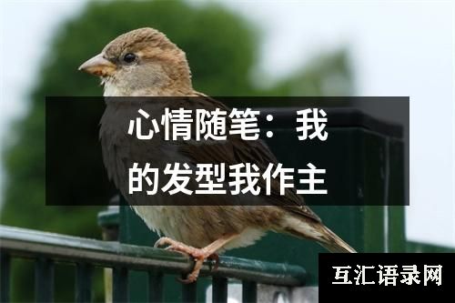 心情随笔：我的发型我作主