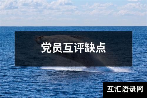 党员互评缺点