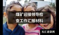 关于煤矿迎接领导检查工作汇报材料（共12篇）