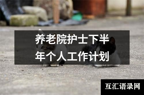 养老院护士下半年个人工作计划