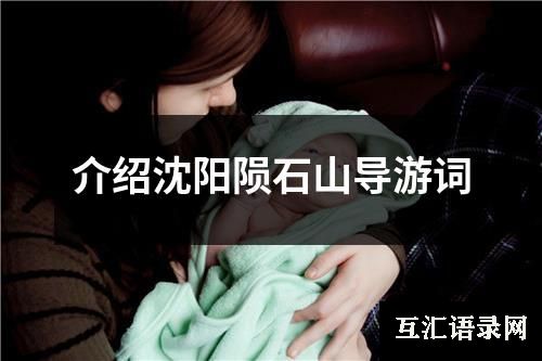 介绍沈阳陨石山导游词