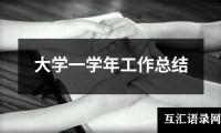 关于大学一学年工作总结（精选12篇）