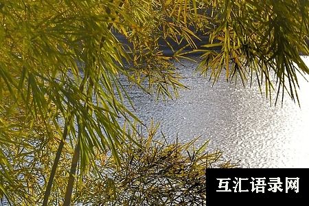 寓意发财的公司名字大全
