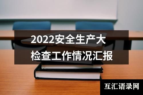 2022安全生产大检查工作情况汇报