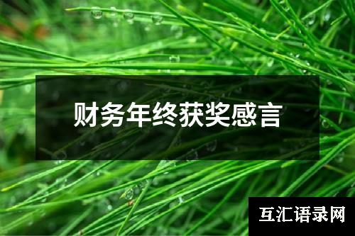 财务年终获奖感言
