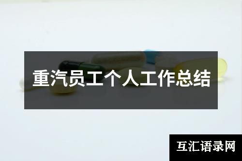 重汽员工个人工作总结