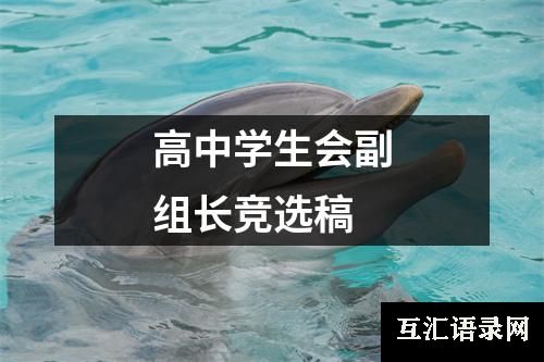 高中学生会副组长竞选稿