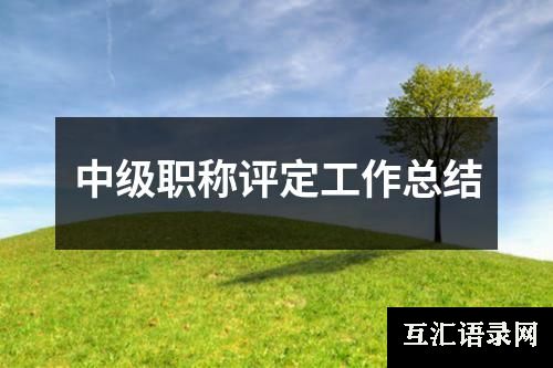 中级职称评定工作总结