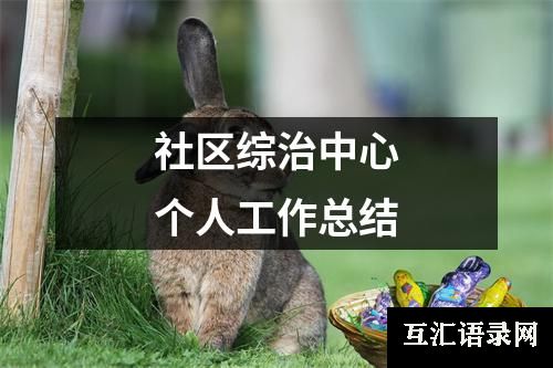 社区综治中心个人工作总结