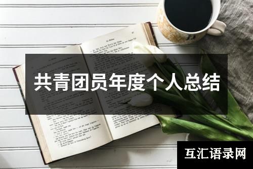 共青团员年度个人总结