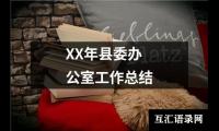 关于XX年县委办公室工作总结（精选19篇）