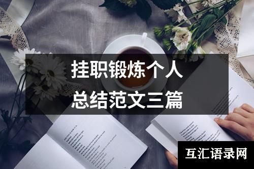 挂职锻炼个人总结范文三篇