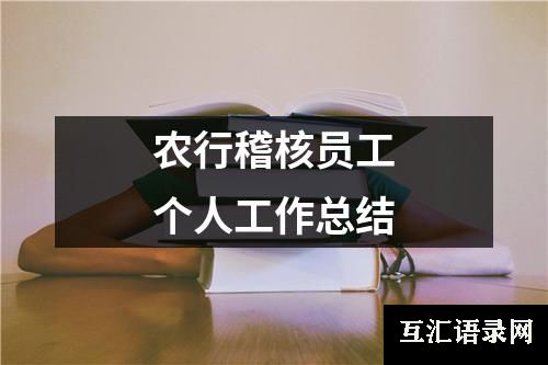 农行稽核员工个人工作总结