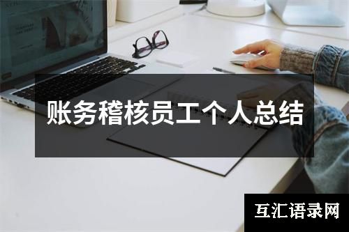 账务稽核员工个人总结