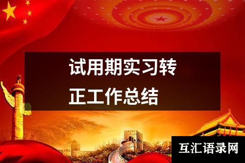 试用期实习转正工作总结