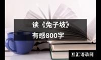 关于读《兔子坡》有感800字（集锦12篇）