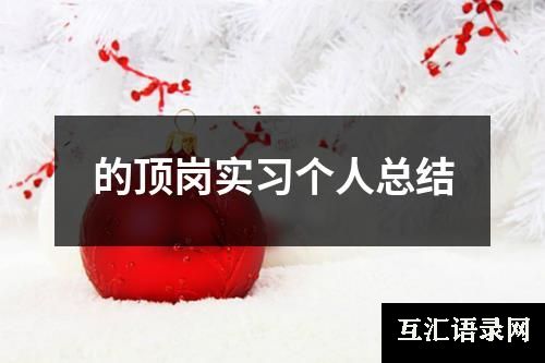 的顶岗实习个人总结