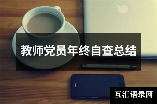 教师党员年终自查总结