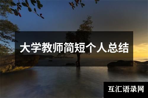 大学教师简短个人总结