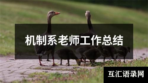 机制系老师工作总结