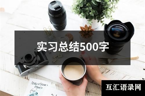 实习总结500字