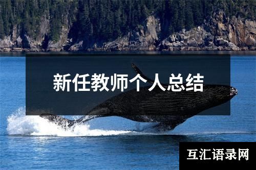 新任教师个人总结