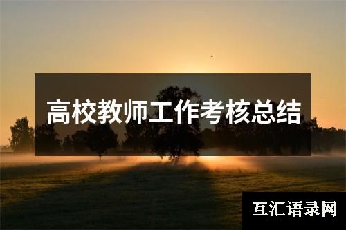高校教师工作考核总结