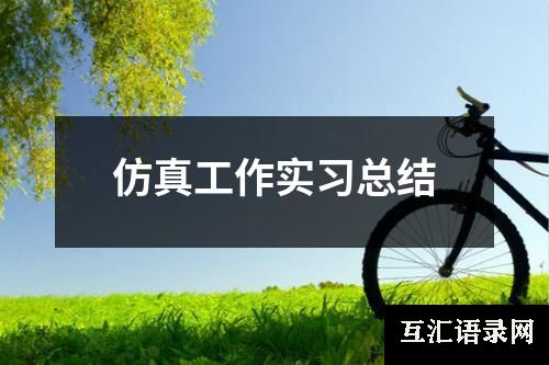 仿真工作实习总结