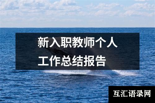 新入职教师个人工作总结报告