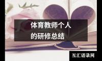 关于体育教师个人的研修总结（锦集15篇）