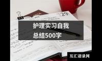 关于护理实习自我总结500字（推荐20篇）