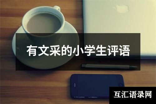 有文采的小学生评语