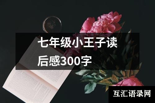 七年级小王子读后感300字