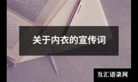 关于关于内衣的宣传词（精选9篇）