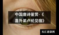 关于中国唐诗鉴赏-《喜外弟卢纶见宿》（精选9篇）