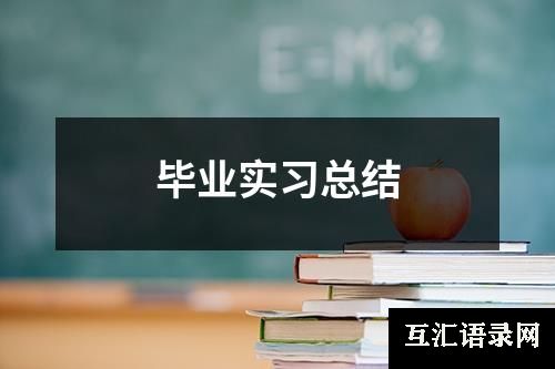 毕业实习总结