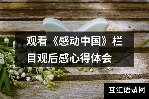 观看《感动中国》栏目观后感心得体会