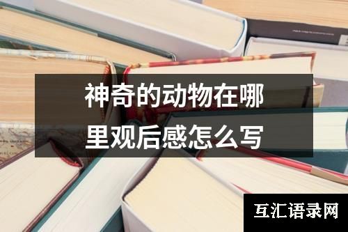 神奇的动物在哪里观后感怎么写