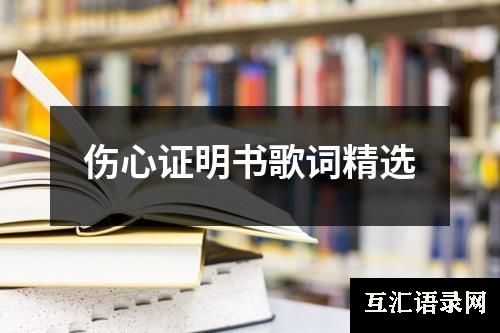 伤心证明书歌词精选
