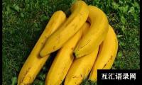 关于二年级香蕉的作文