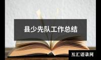 县少先队工作总结
